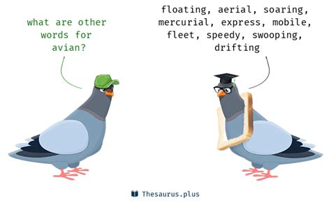 avian synonym|other names for avian.